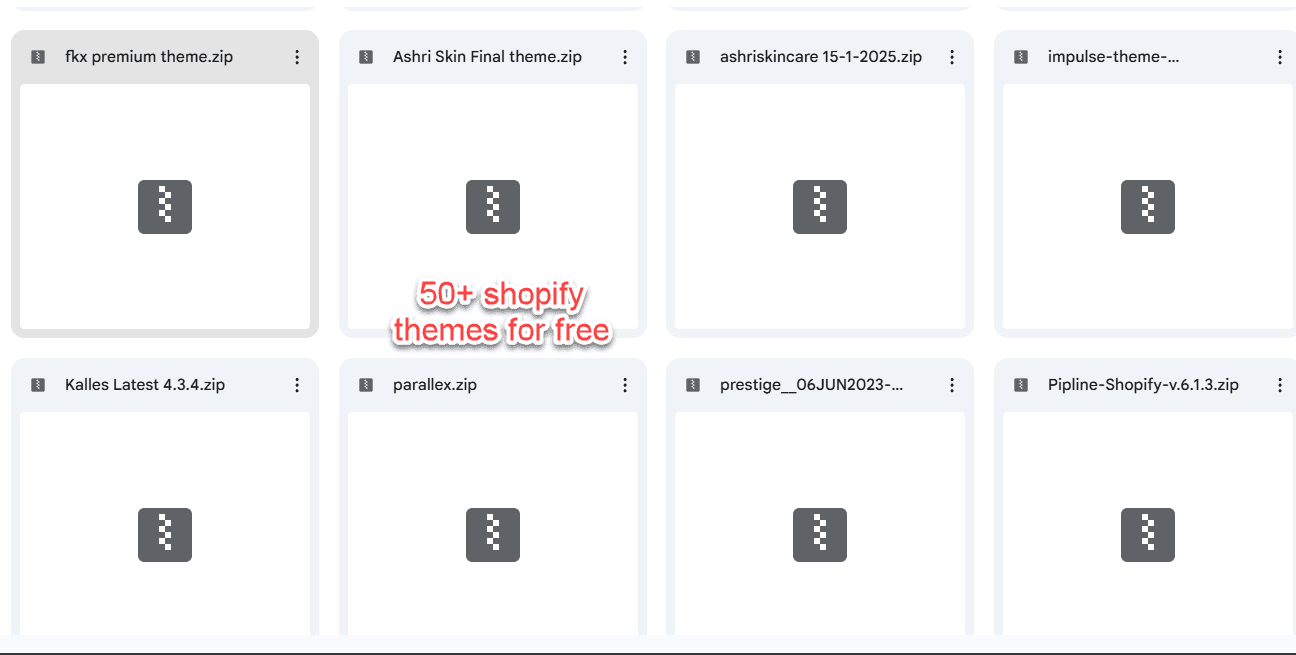 The premium Shopify theme included as an enrollment bonus