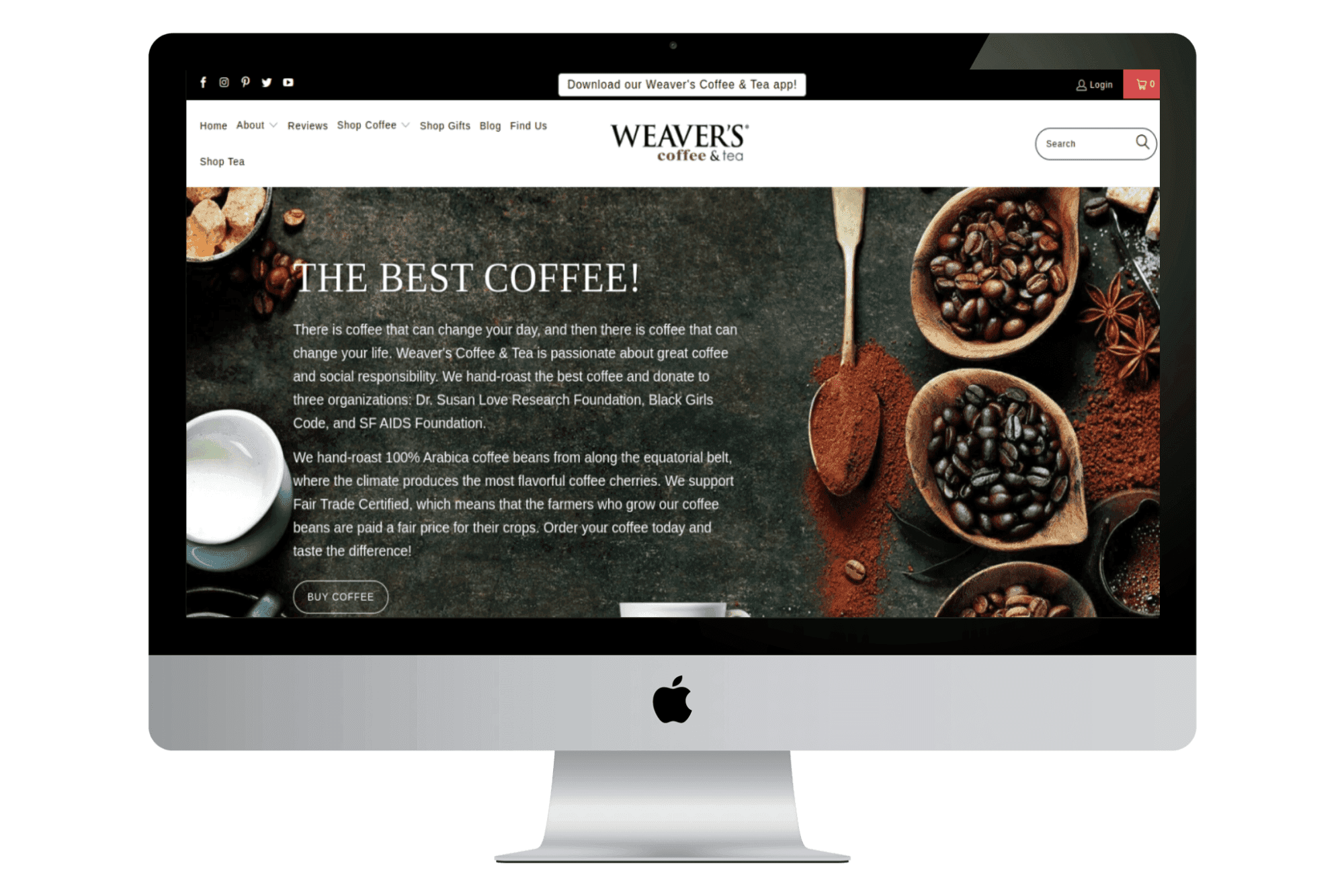 Client store 5 — Shopify storefront built by Themetrek